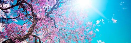 crystlee81's profile banner image