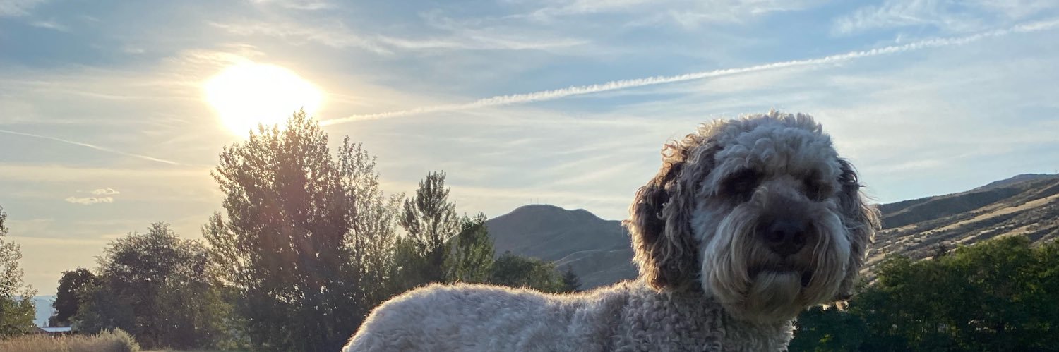 internetpenguin's profile banner image