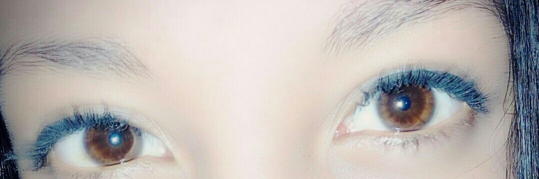 suarezvanessa11's profile banner image