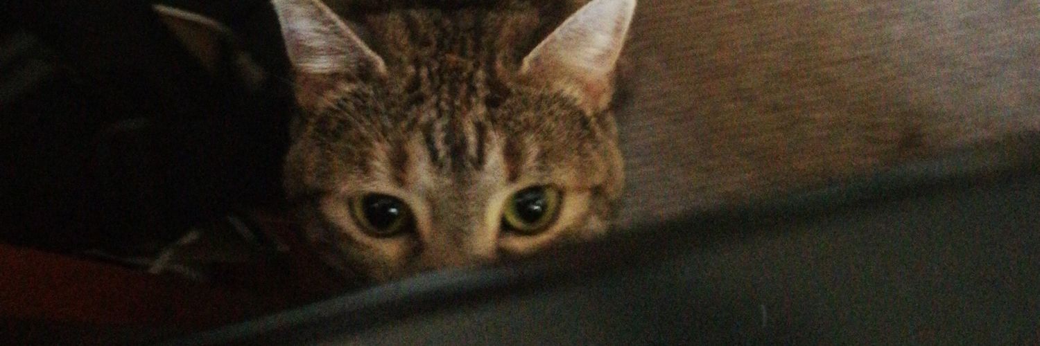 aggrouki's profile banner image