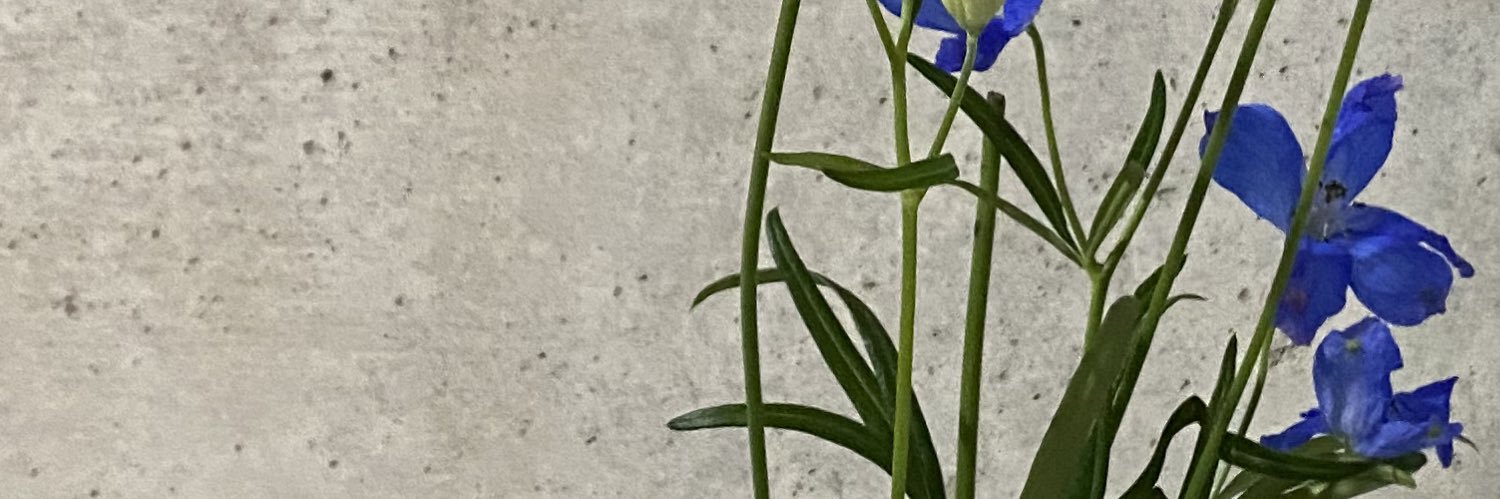 mksbemeeg's profile banner image