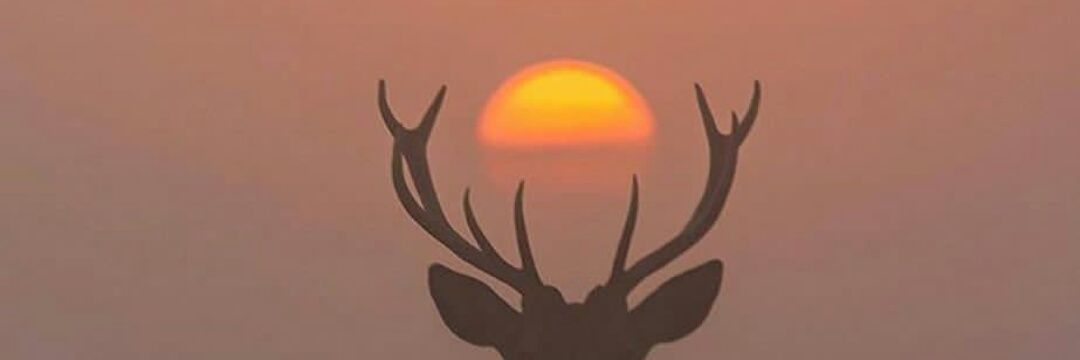 hendyndra's profile banner image