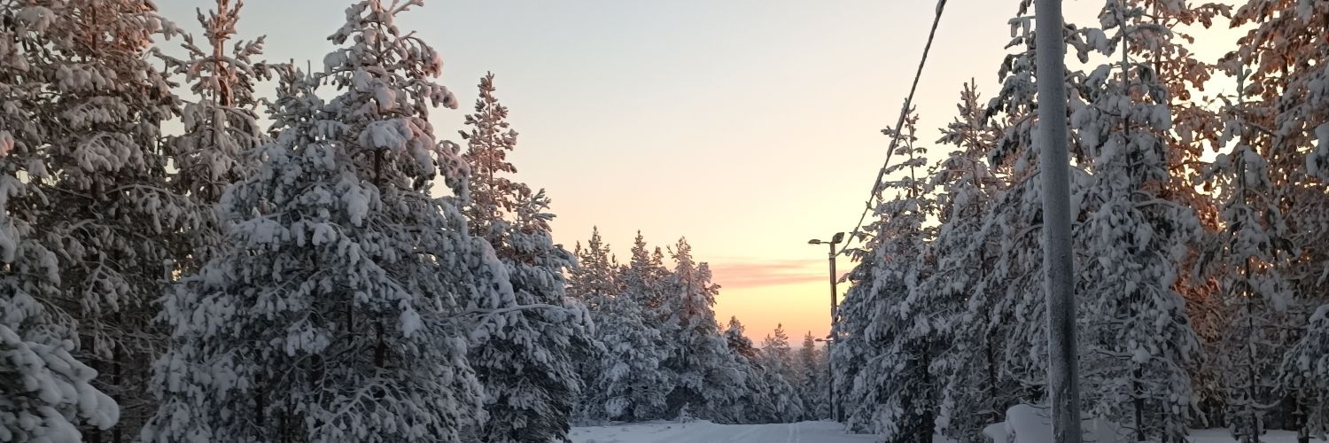 Anssi Koirikivi banner