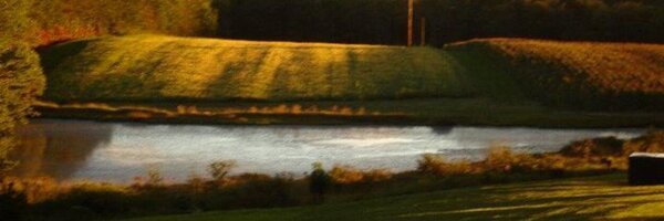 DoreenHDickson Profile Banner
