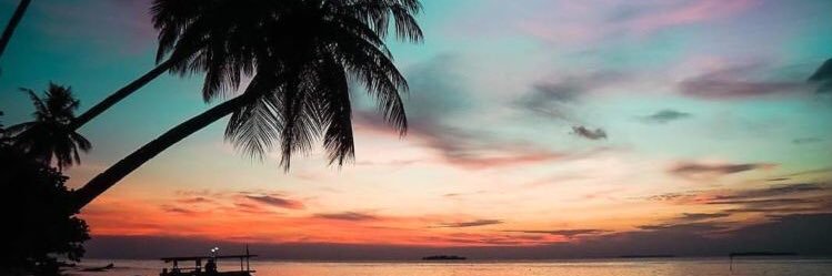 • 🄽🄰🄴🎋 banner