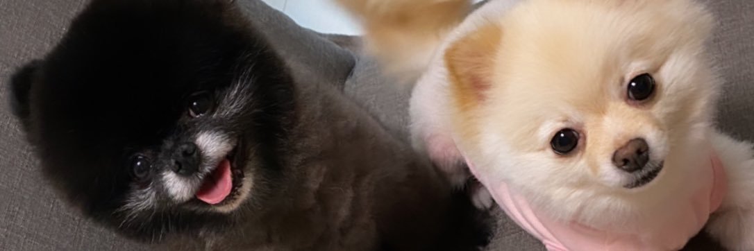 m_buubuu's profile banner image
