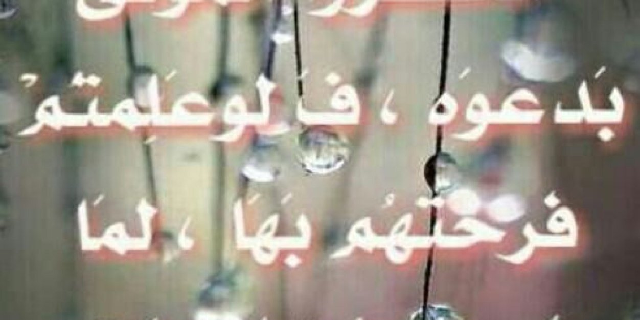 aomwalid's profile banner image