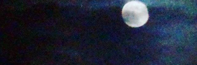 Yquelor's profile banner image