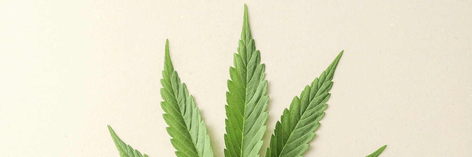 CBDWeed's profile banner image