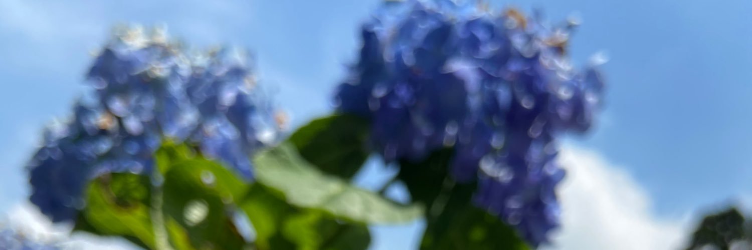 サンSan (フォロー専) banner