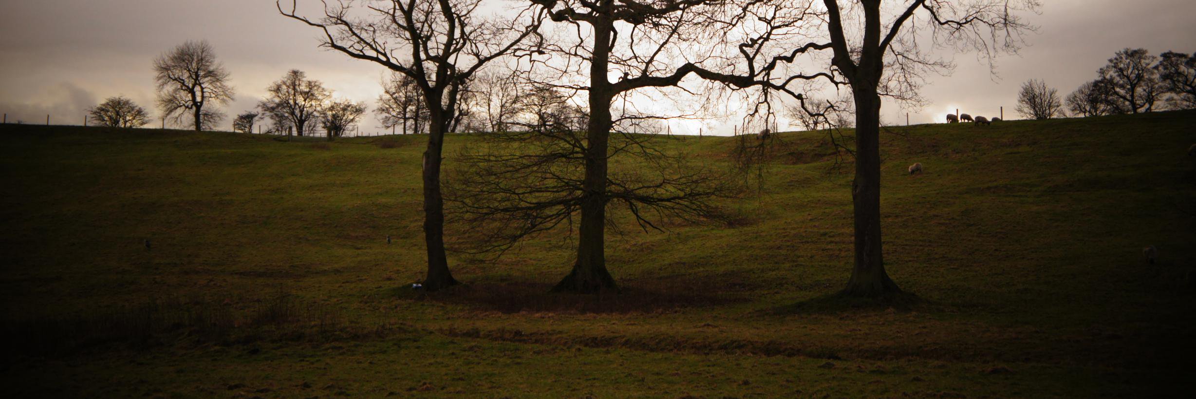 HarryNorthridge's profile banner image