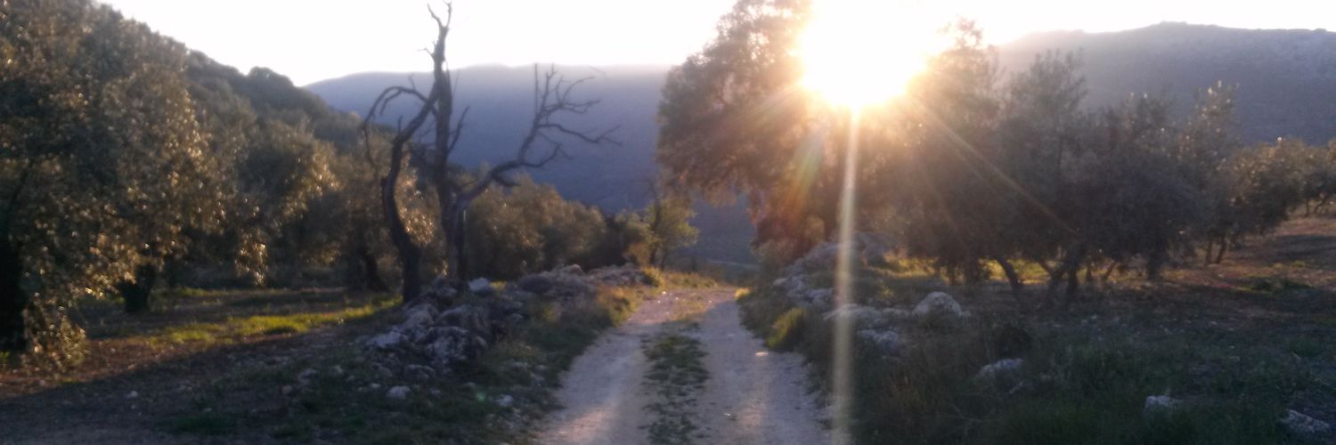usire85's profile banner image