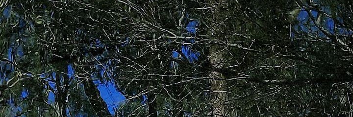 Hedske13's profile banner image
