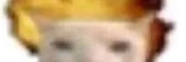 trashrathoe's profile banner image