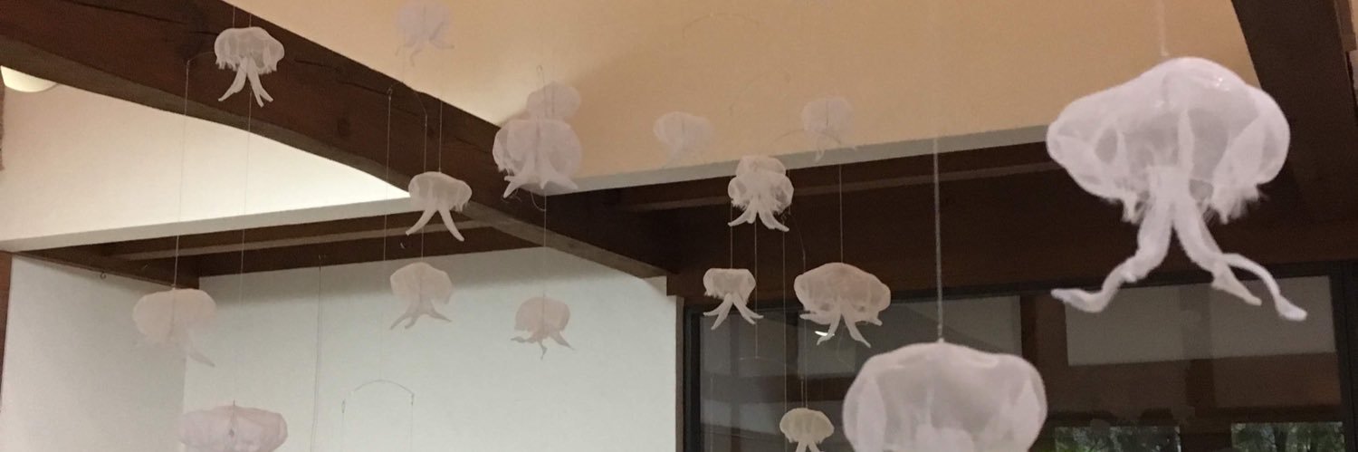 いおしゃんଳaether io banner