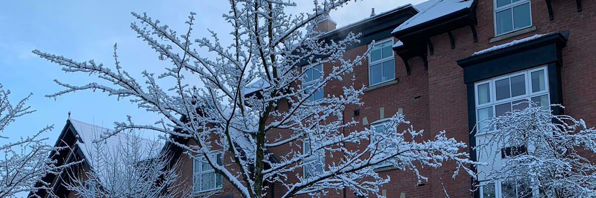 IndianFromCan's profile banner image