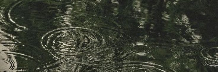 rojeparc's profile banner image
