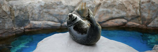 InFullColor Profile Banner