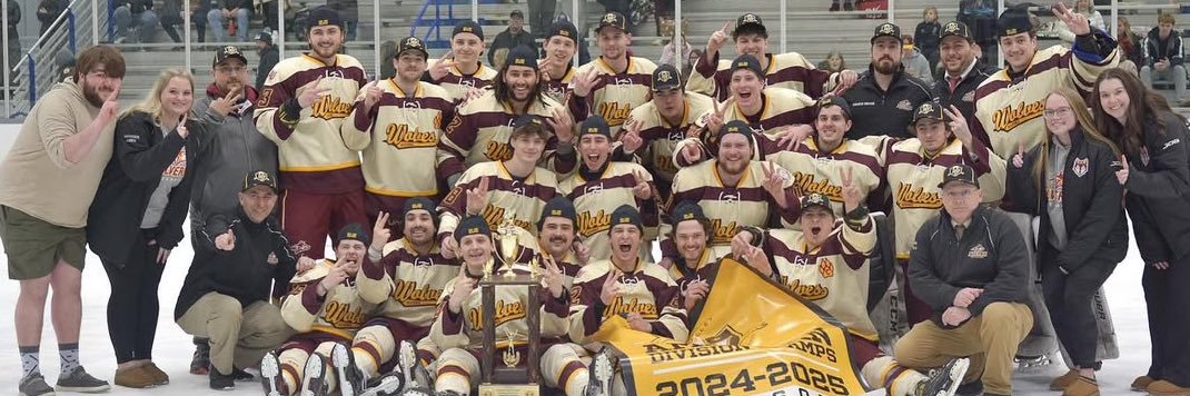 Alvernia Men’s AAU Ice Hockey banner