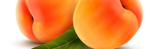 NinWeyn1's profile banner image