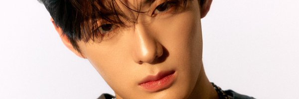 tidybeaarrr Profile Banner