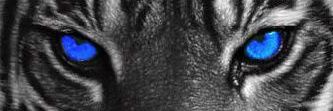 GunKILLAZ's profile banner image