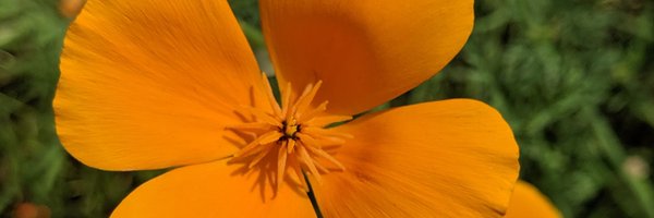 RibbK Profile Banner