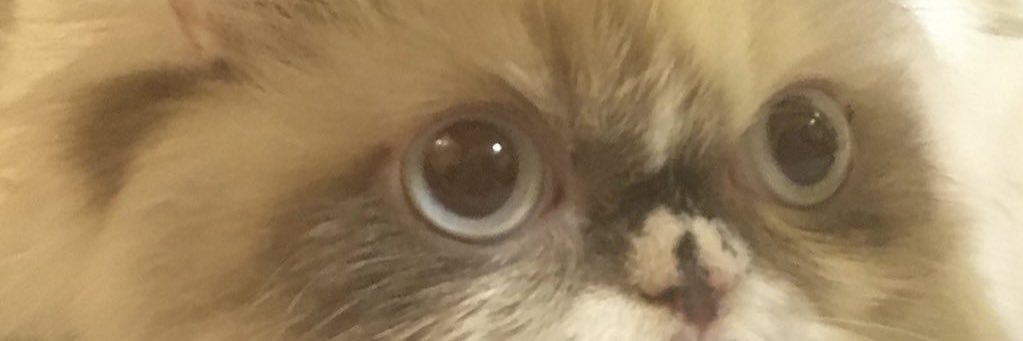 MinnRahman's profile banner image