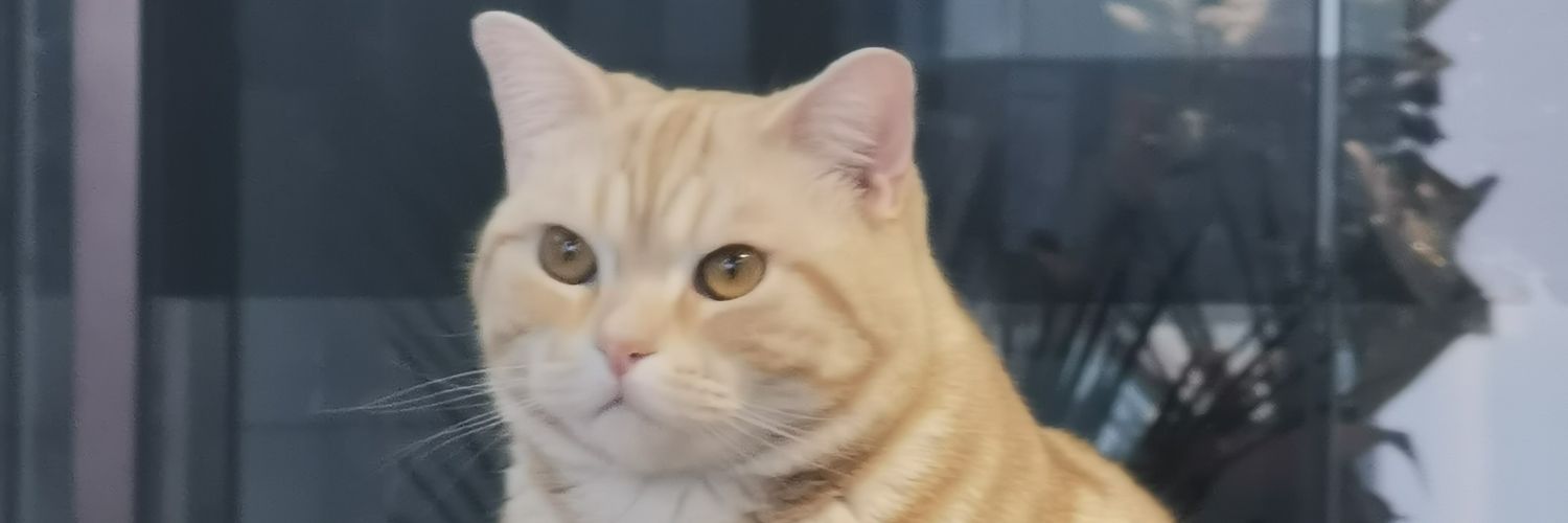 CUIajik's profile banner image