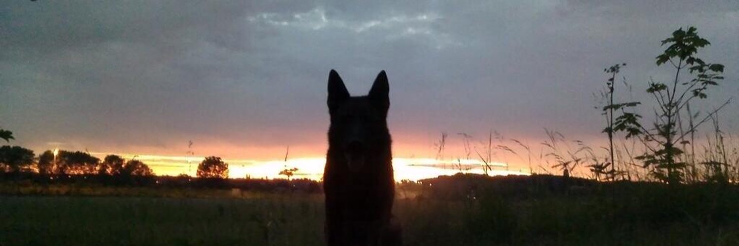 WY Police Dogs Profile Banner