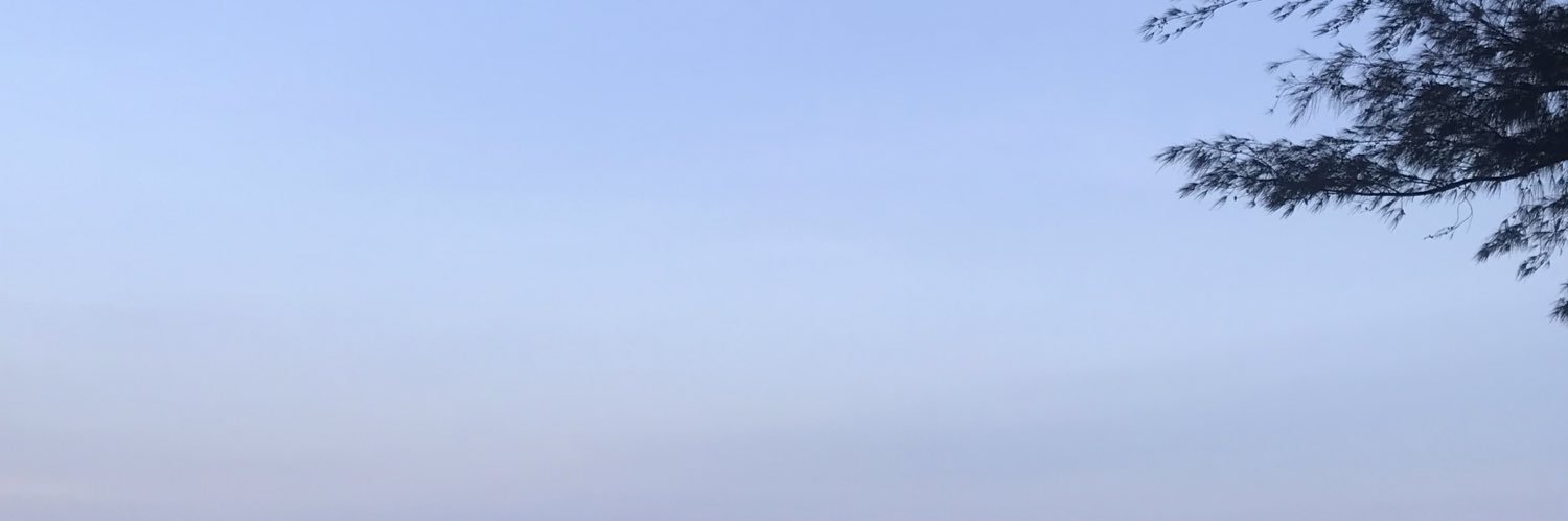 the_beebie's profile banner image