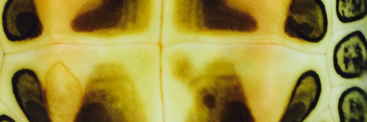 pauldekapper's profile banner image