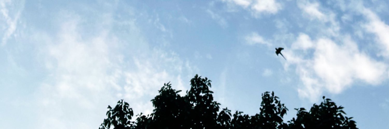 rm_mann's profile banner image