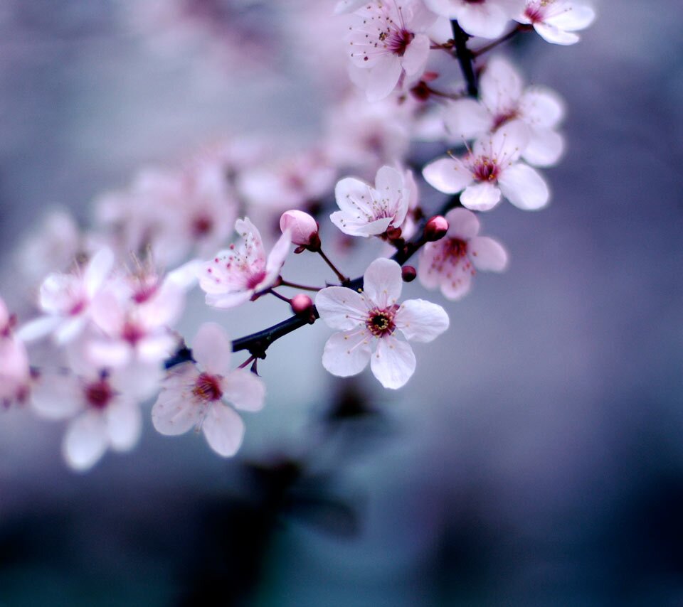 meg933's profile banner image