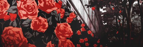 Ƈαямιℓℓα banner