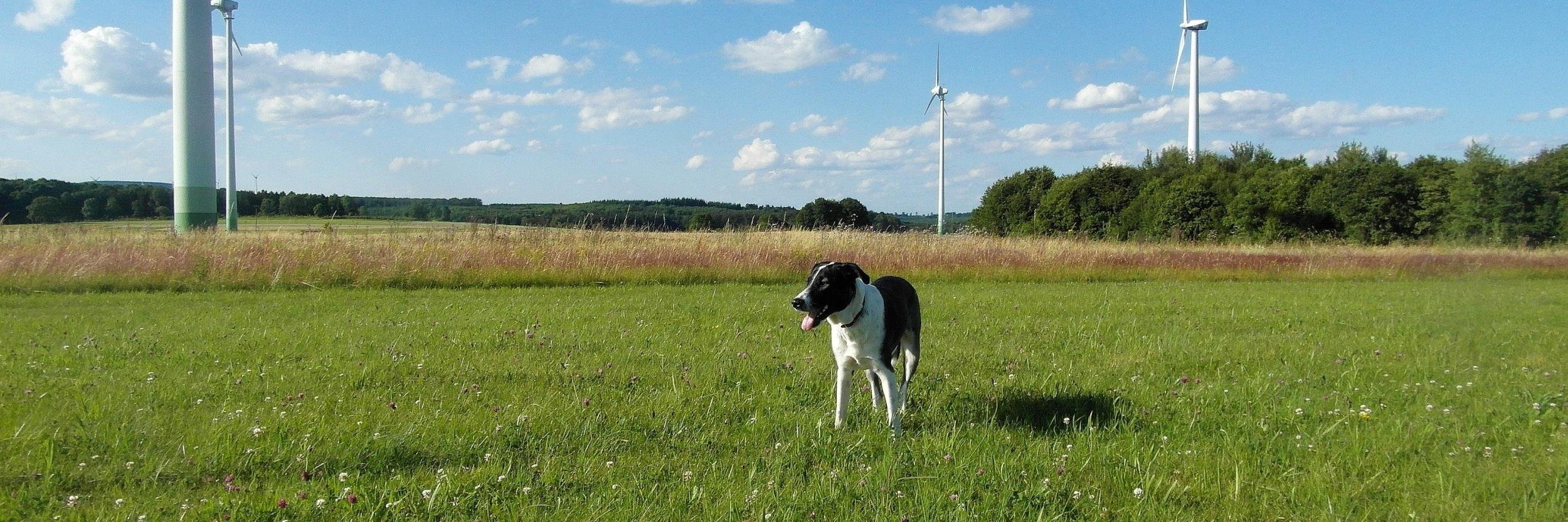 HESSENMAGAZIN's profile banner image