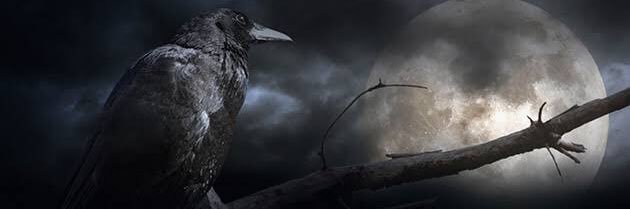 yynr81's profile banner image