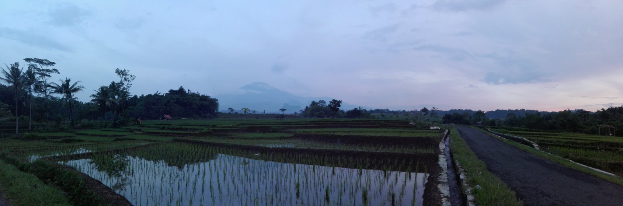 R_Tlan's profile banner image