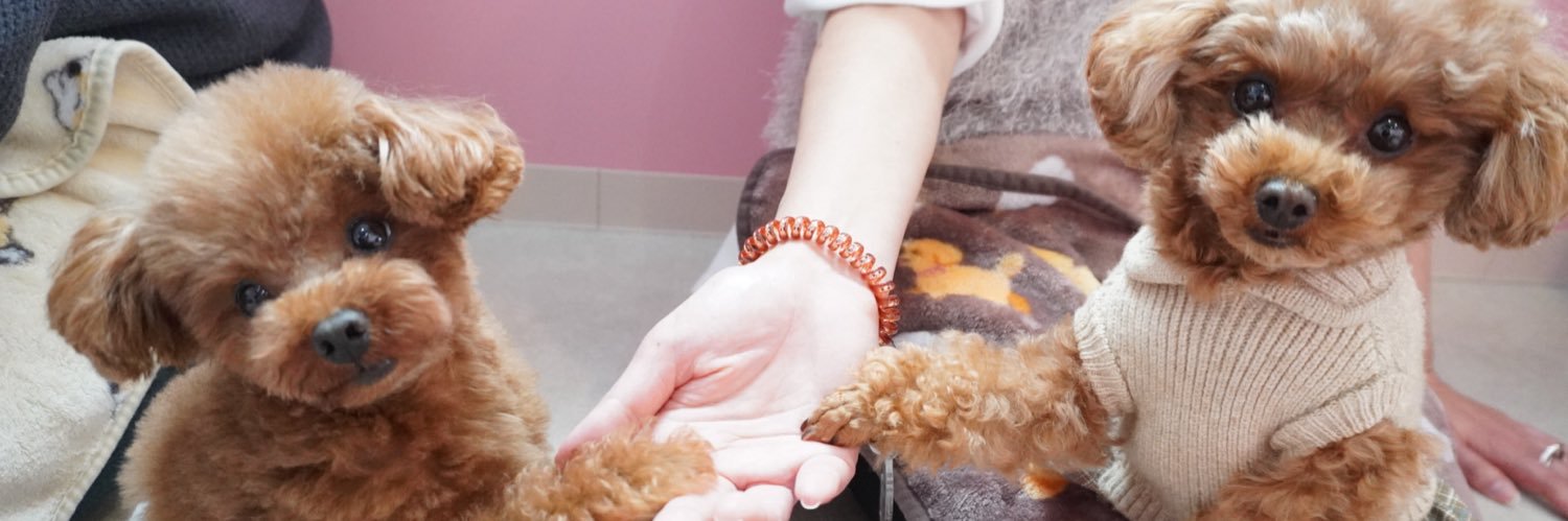dm_kao's profile banner image