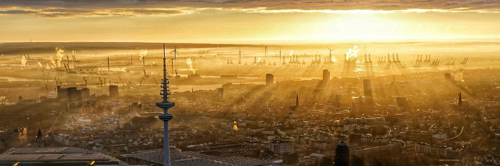 Marius Eschen banner
