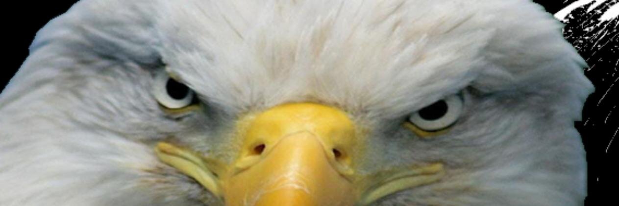 JeisonSmithJs's profile banner image