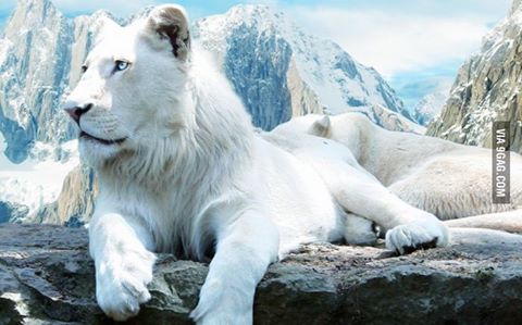 tuhmih's profile banner image