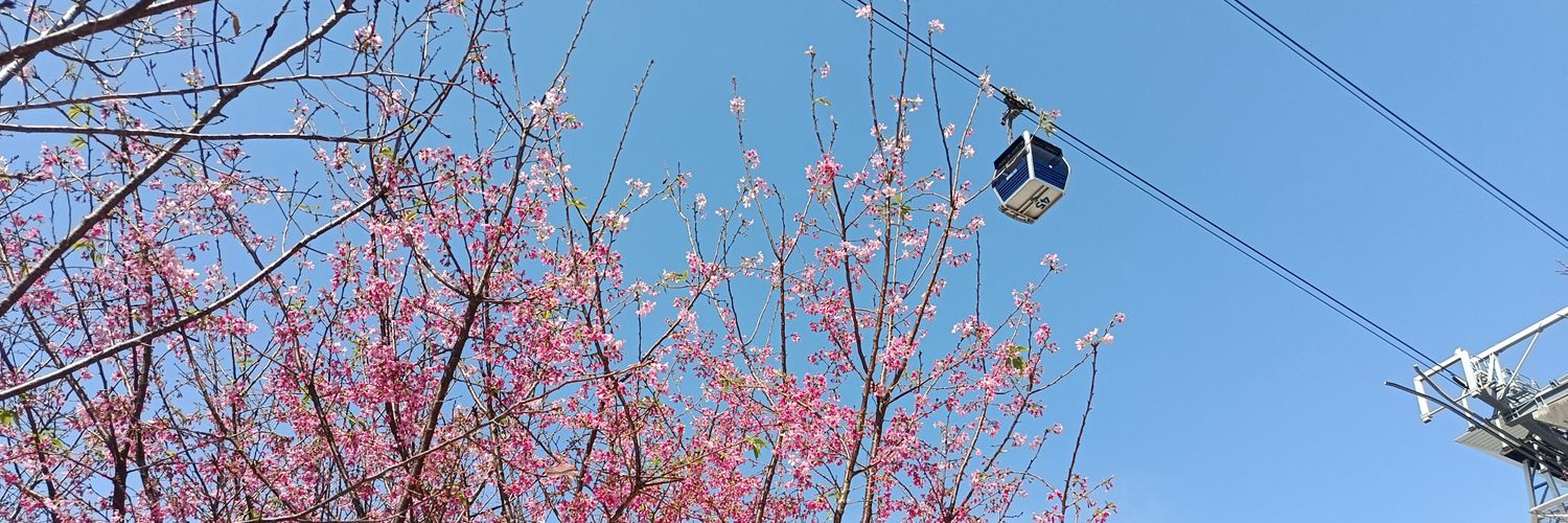 Coffee/咖啡 ☕ banner