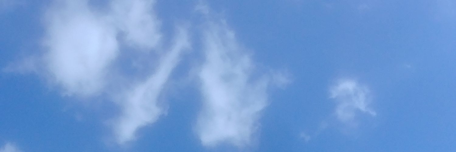 JohnMMueller's profile banner image