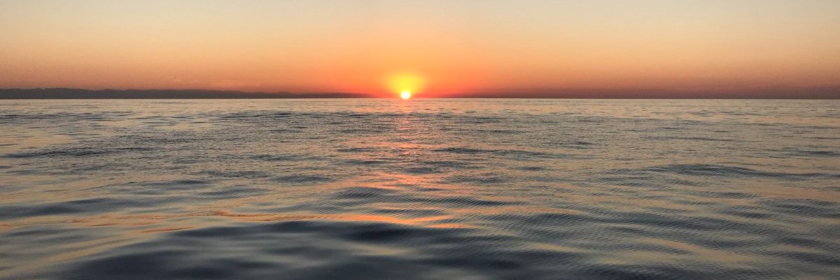 SaahSahin's profile banner image