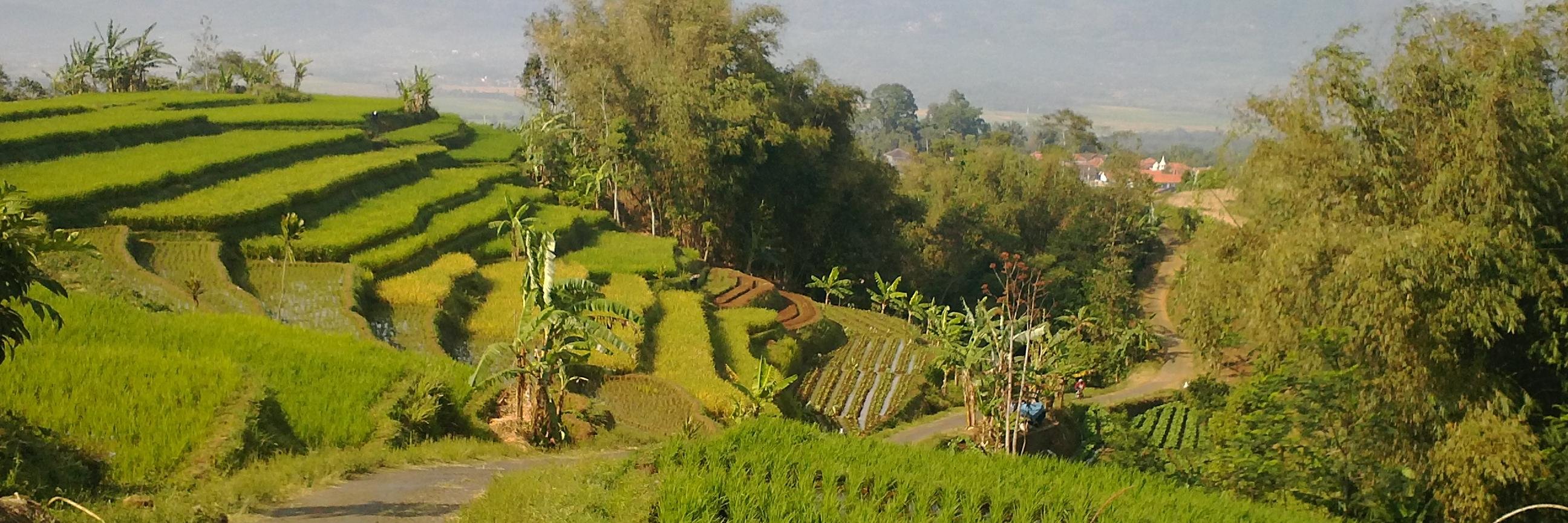 Kangbudz banner