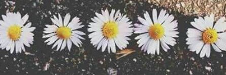 SarahBernardo19's profile banner image