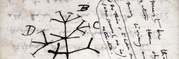 XimoPechuan Profile Banner