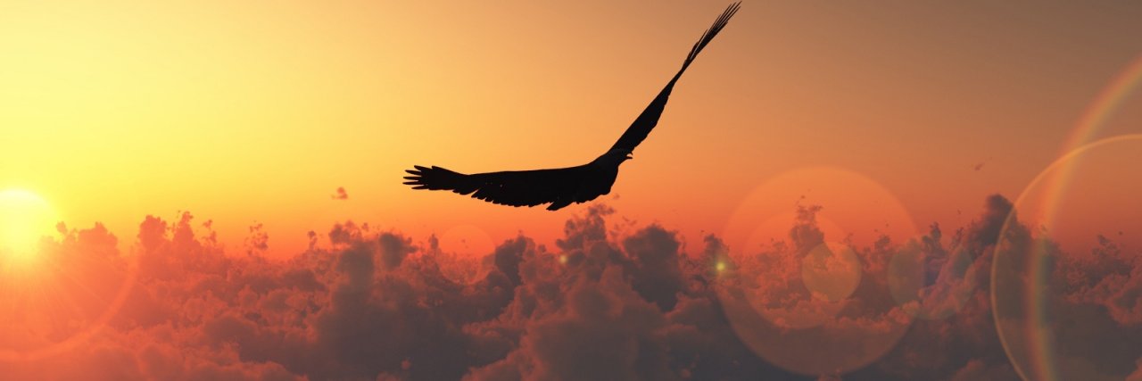 Rocíu banner
