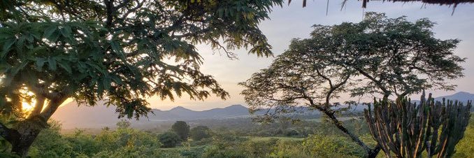tendayi_peter's profile banner image